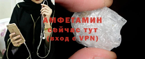молекула духа Богданович