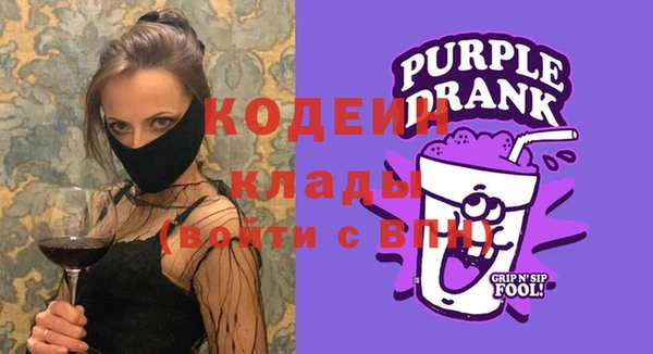 молекула духа Богданович